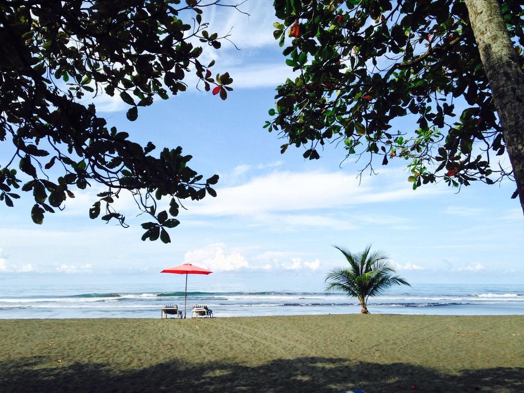 Rafiki Beach Camp Matapalo  Zimmer foto